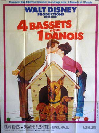 4 bassets pour 1 danois