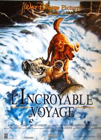 Incroyable voyage (l')