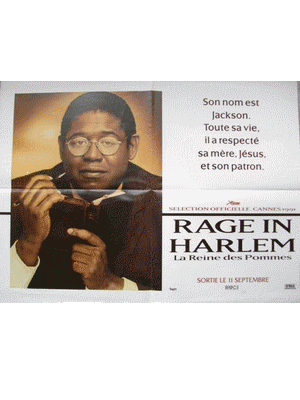 rage in harlem