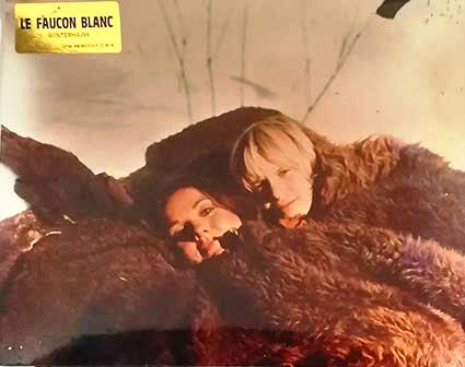 Faucon blanc (le)