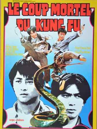 Coup mortel du Kung-Fu (le)