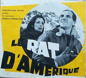 Rat d'Amérique (le)